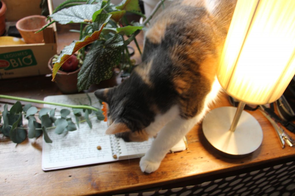 Règlement du concours de nouvelle